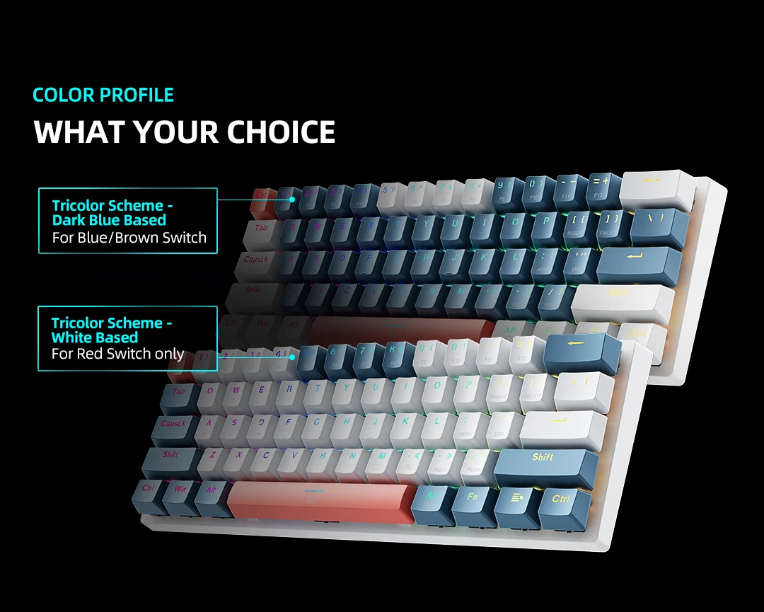 Machenike K500-B61 Mini Mechanical Keybaord 60% Form Factor 61Keys Gaming Keybaord Wired Full Key Hot-Swappable RGB Backlit