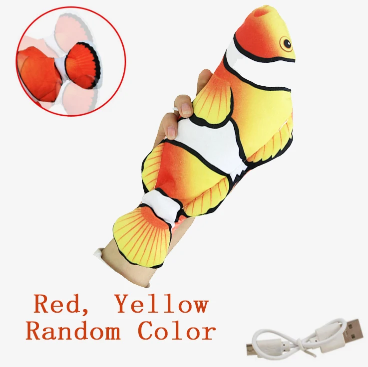 Clownfish random